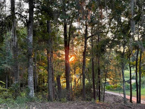 Tiny photo for 7620 Preservation Road, Tallahassee, FL 32312 (MLS # 390602)