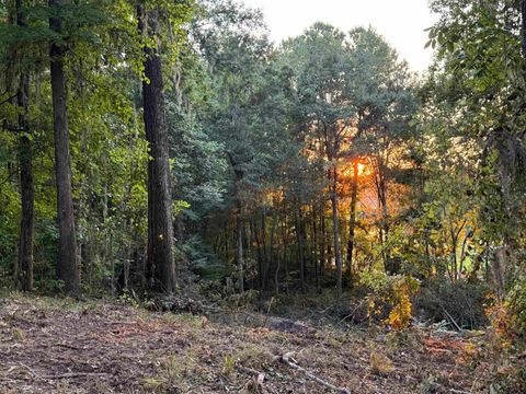 Tiny photo for 7620 Preservation Road, Tallahassee, FL 32312 (MLS # 390602)