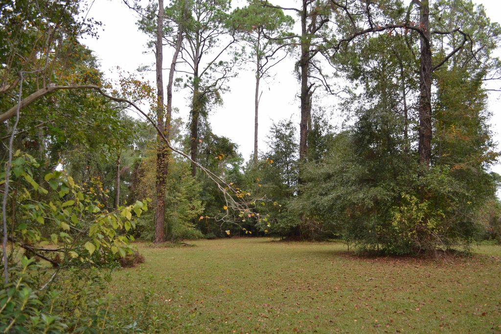 Photo of 0 Southern Oaks Drive, Tallahassee, FL 32308 (MLS # 392731)
