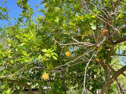 Tiny photo for 16437 NW County Road 12, Bristol, FL 32321 (MLS # 397992)