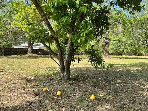 Tiny photo for 16437 NW County Road 12, Bristol, FL 32321 (MLS # 397992)