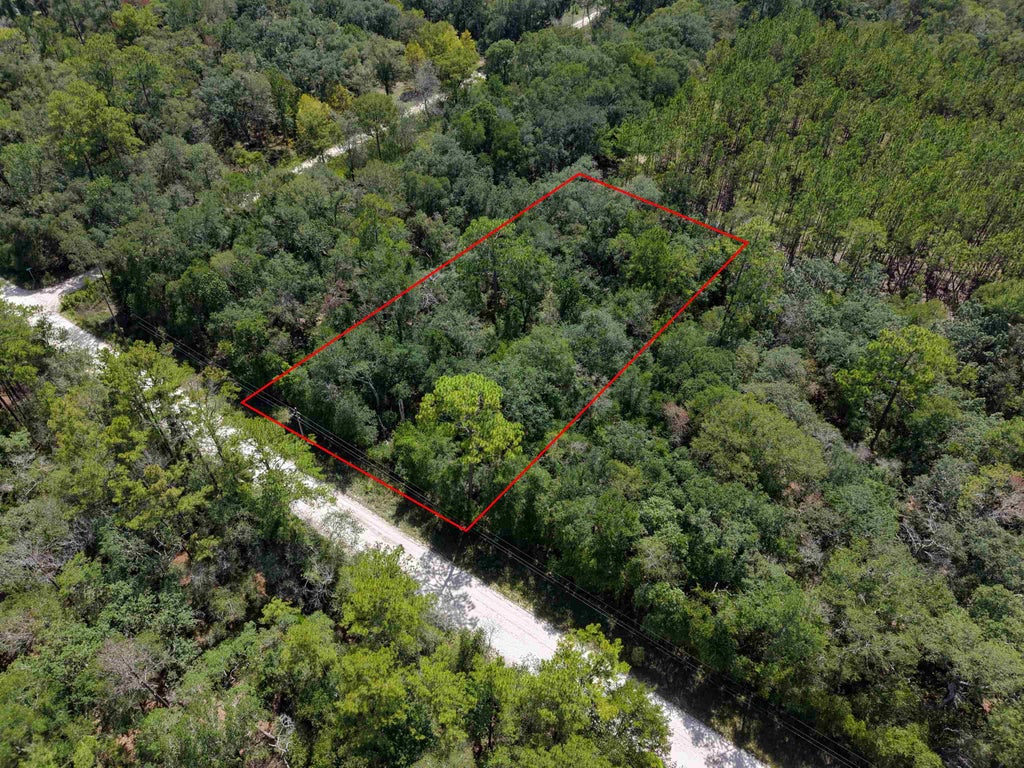 Photo of 00 SE Leopard Road, Branford, FL 32008 (MLS # 402840)