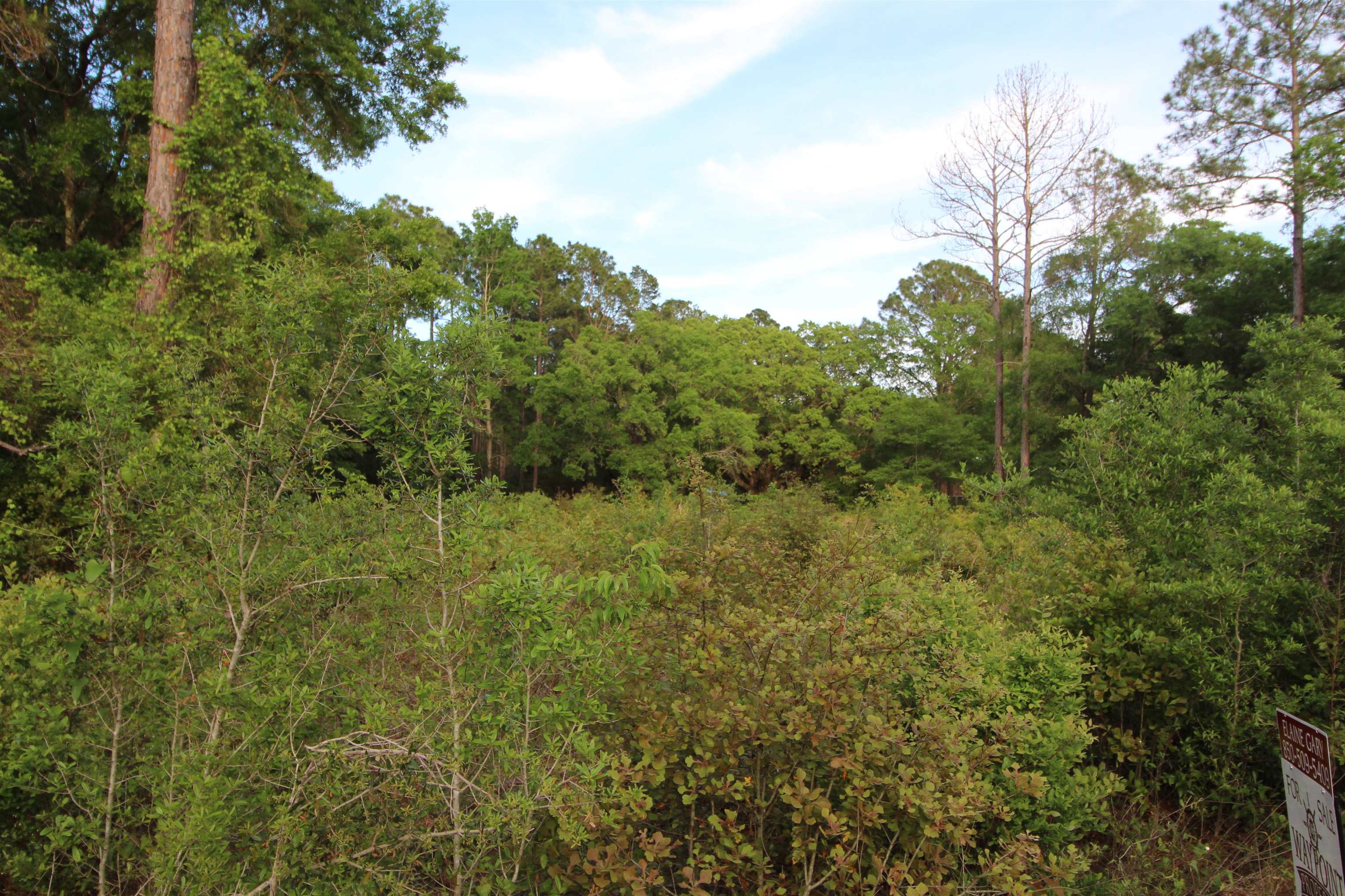 Lots 6-7 Bottoms Road