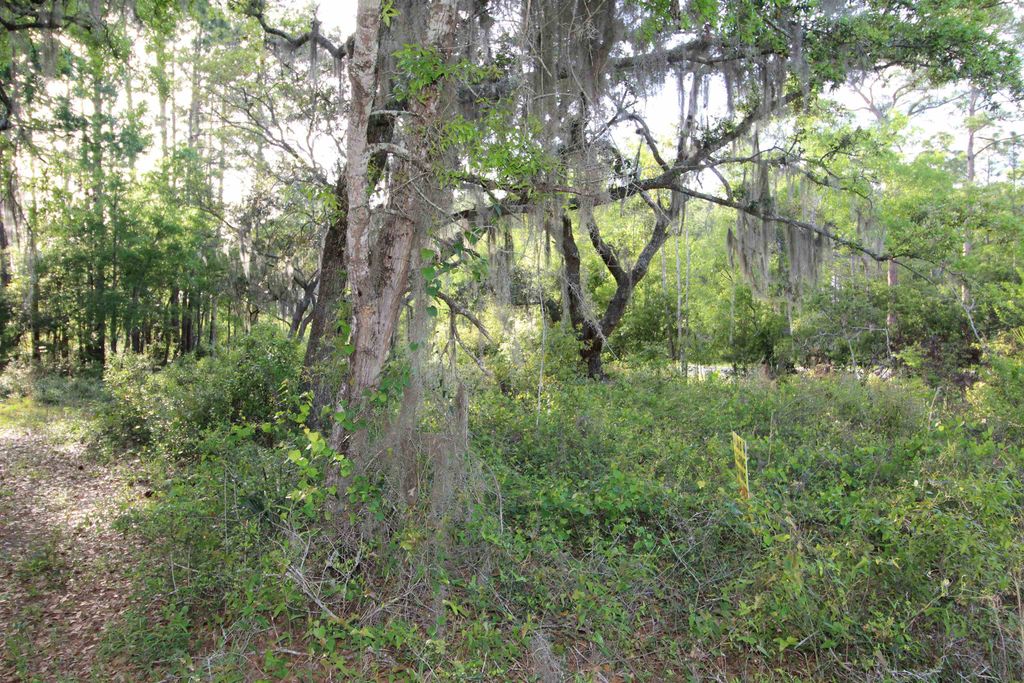 Photo of Lots 6-7 Bottoms Road, Panacea, FL 32346 (MLS # 395534)