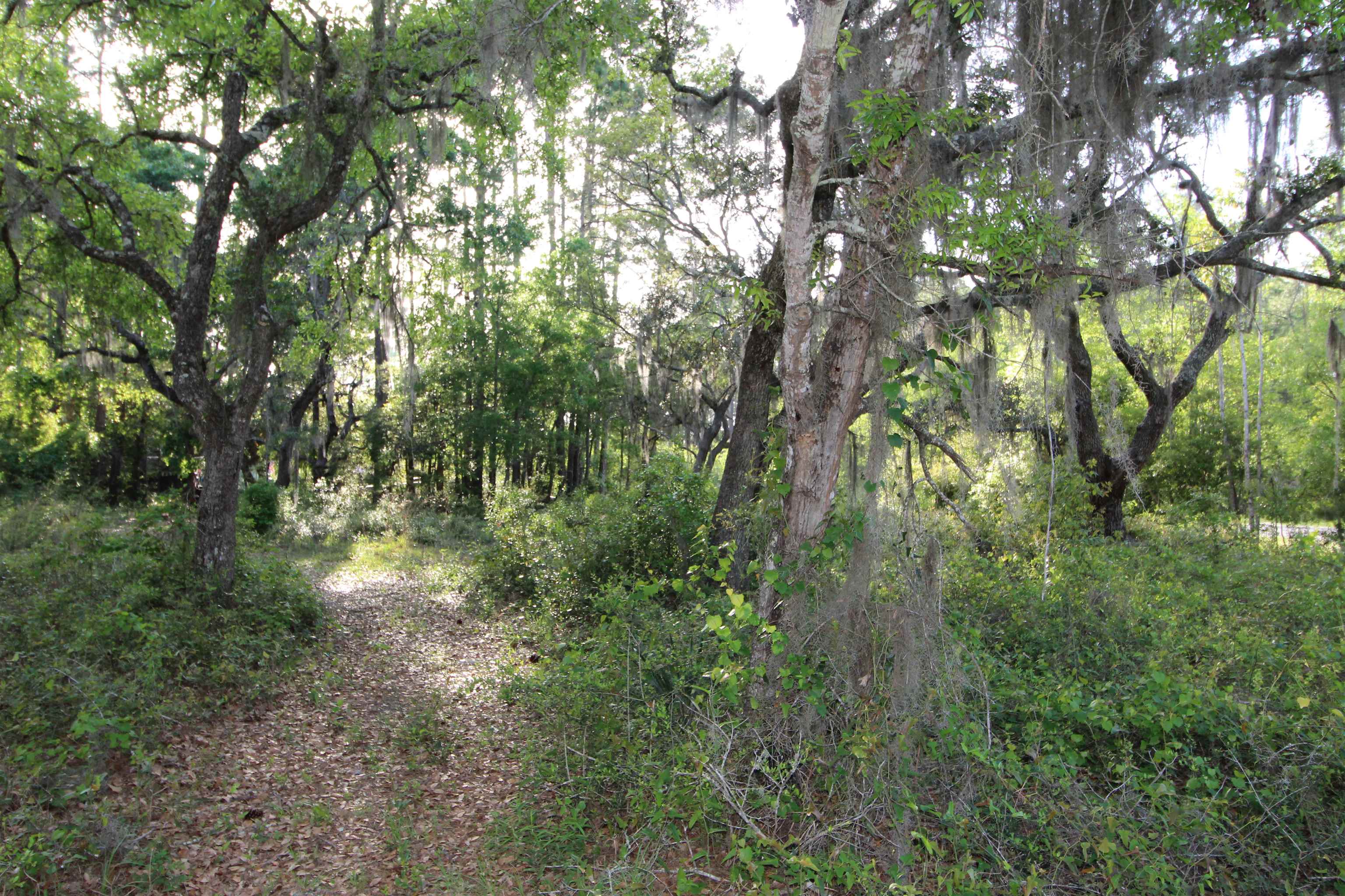 Lots 6-7 Bottoms Road