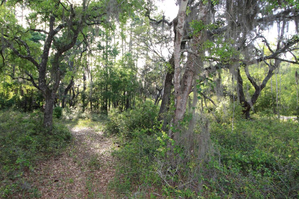 Photo of Lots 6-7 Bottoms Road, Panacea, FL 32346 (MLS # 395534)