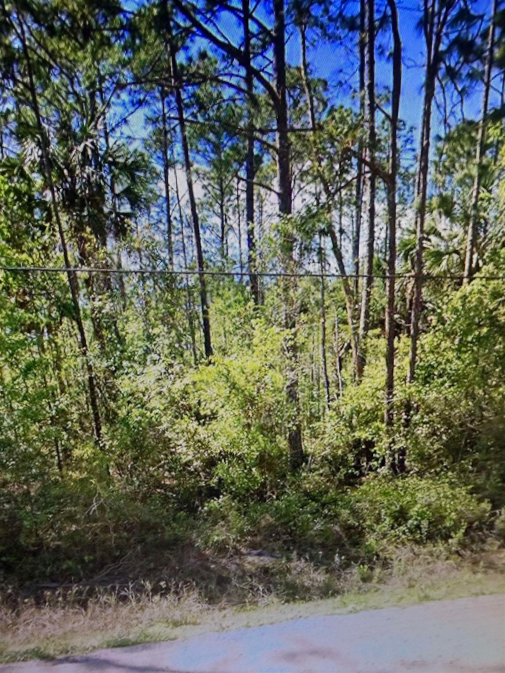 Photo of 2184 Laure Avenue, Other Florida, FL 32110 (MLS # 400673)
