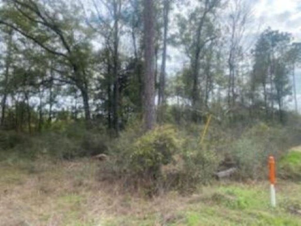 Photo of xx Crawfordville Highway, Crawfordville, FL 32327 (MLS # 398972)