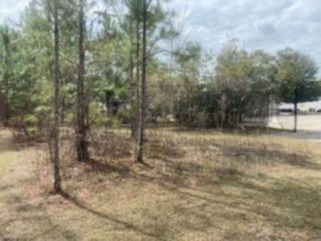 xx Crawfordville Highway