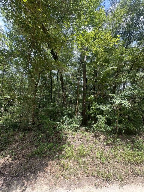 Tiny photo for XX PARRAMORE SHORES Road, Tallahassee, FL 32310 (MLS # 387285)