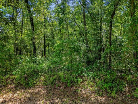Tiny photo for XX PARRAMORE SHORES Road, Tallahassee, FL 32310 (MLS # 387285)