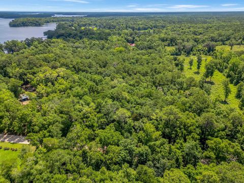 Tiny photo for XX PARRAMORE SHORES Road, Tallahassee, FL 32310 (MLS # 387285)