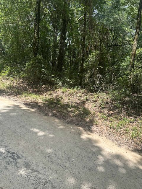 Tiny photo for XX PARRAMORE SHORES Road, Tallahassee, FL 32310 (MLS # 387285)