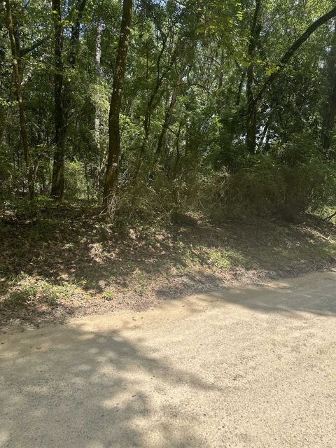 Tiny photo for XX PARRAMORE SHORES Road, Tallahassee, FL 32310 (MLS # 387285)