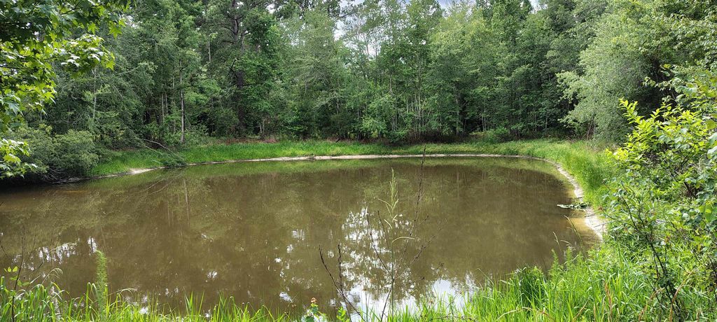 Photo of 10481 ashville Highway, Greenville, FL 32331 (MLS # 400557)
