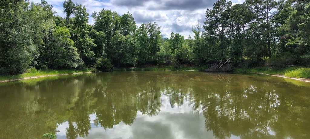 Photo of 10481 ashville Highway, Greenville, FL 32331 (MLS # 400557)