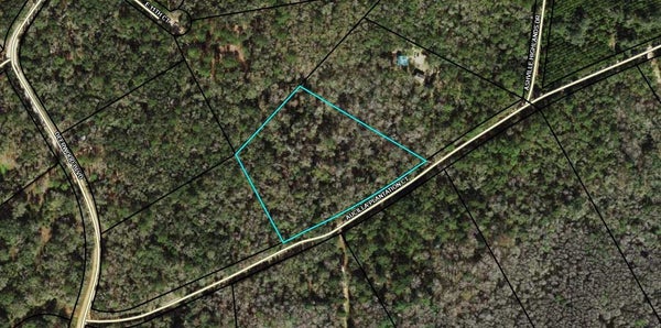 TBD AUCILLA PLANTATION COURT, GREENVILLE, FL 32331 - Image bb3b7df74454e4fd374cfc5bf073afb5/3262930541
