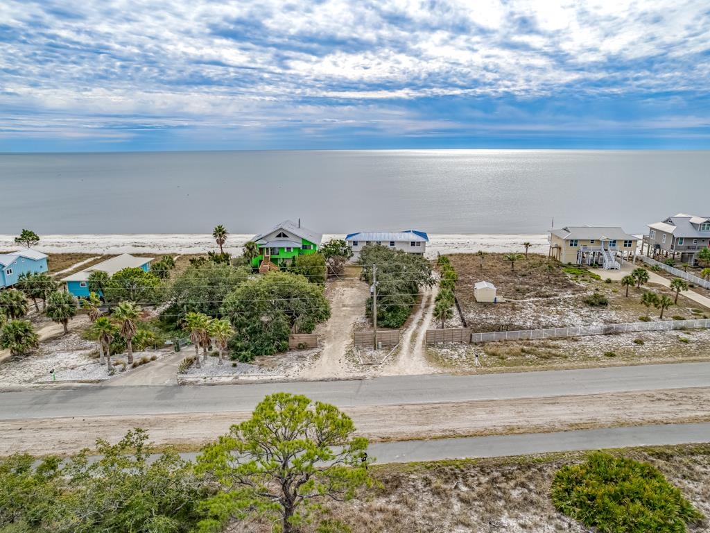 1171 Alligator Drive