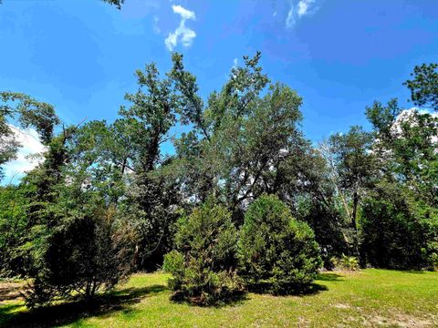 Tiny photo for 3445 Arrowhead Lane, Perry, FL 32347 (MLS # 401829)