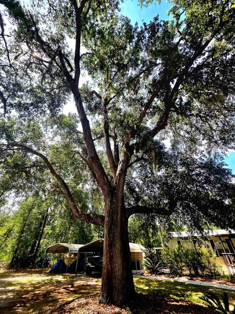 Tiny photo for 3445 Arrowhead Lane, Perry, FL 32347 (MLS # 401829)