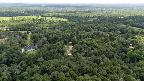 Tiny photo for 1407 Shady Rest Road, Havana, FL 32333 (MLS # 402908)
