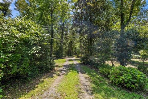 Tiny photo for 1407 Shady Rest Road, Havana, FL 32333 (MLS # 402908)