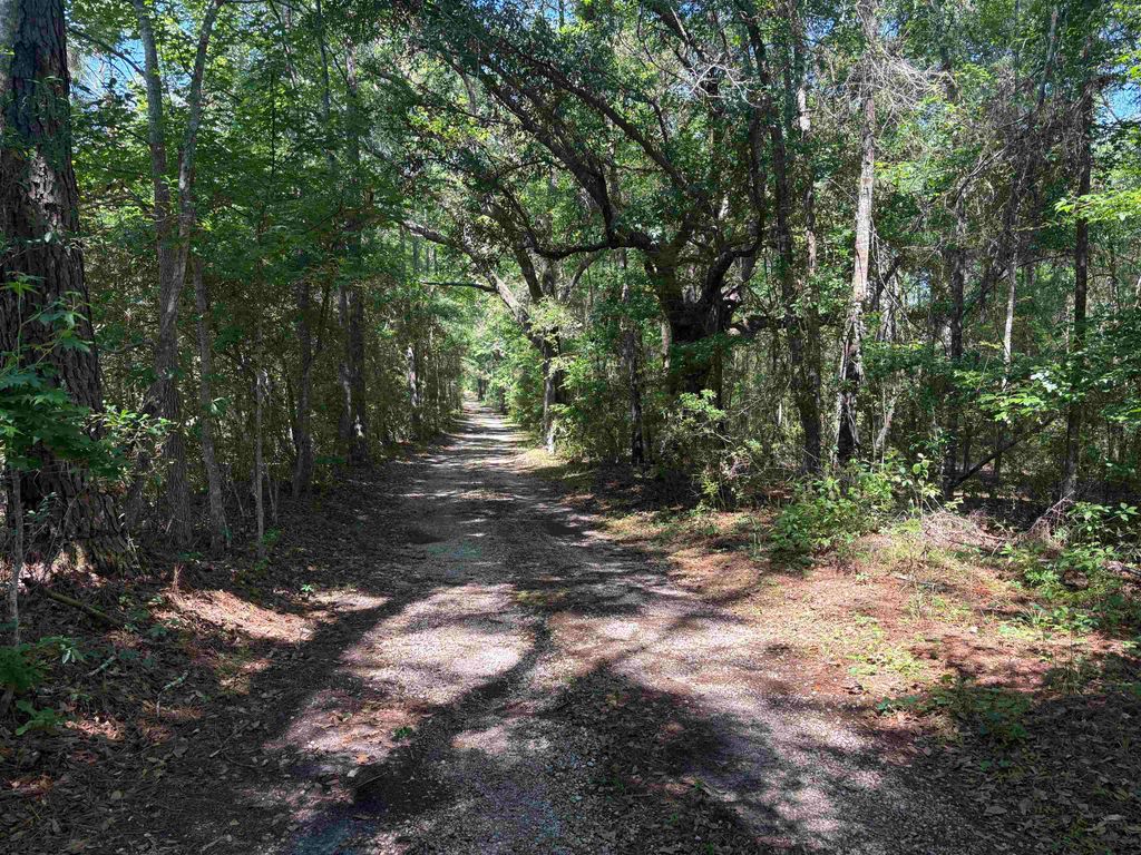 Photo of 10146 F A Ash Way, Tallahassee, FL 32311 (MLS # 400013)