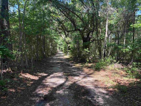 Photo of 10146 F A Ash Way, Tallahassee, FL 32311 (MLS # 400013)