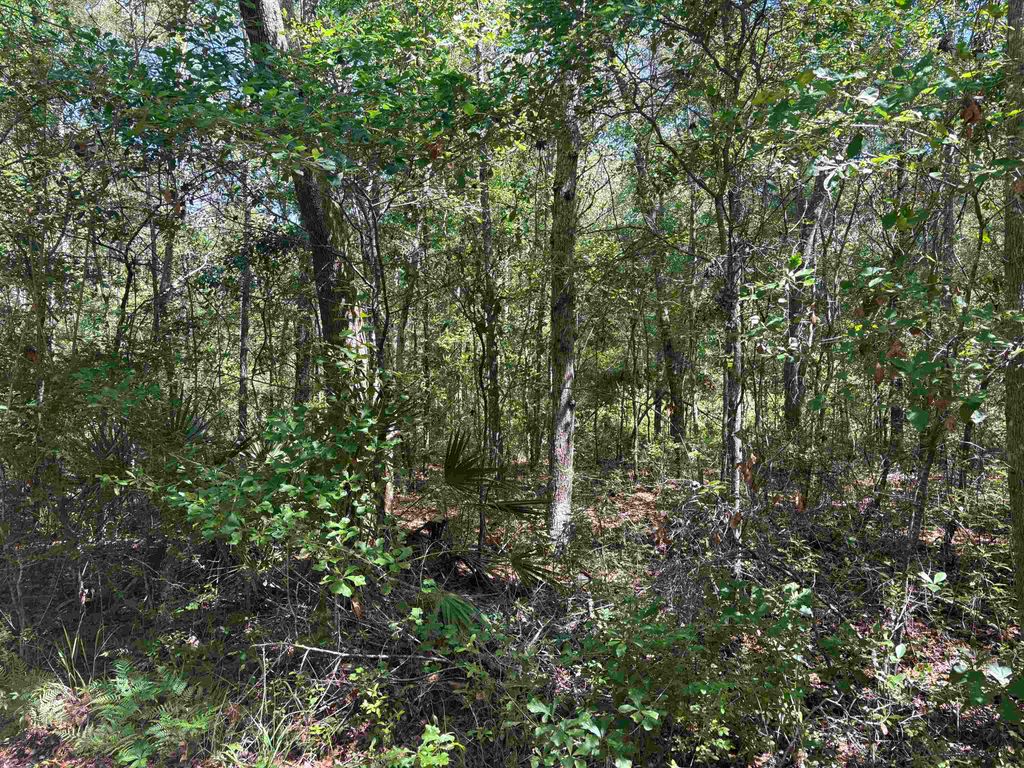 Photo of 10146 F A Ash Way, Tallahassee, FL 32311 (MLS # 400013)