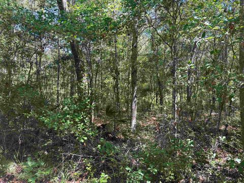 Tiny photo for 10146 F A Ash Way, Tallahassee, FL 32311 (MLS # 400013)