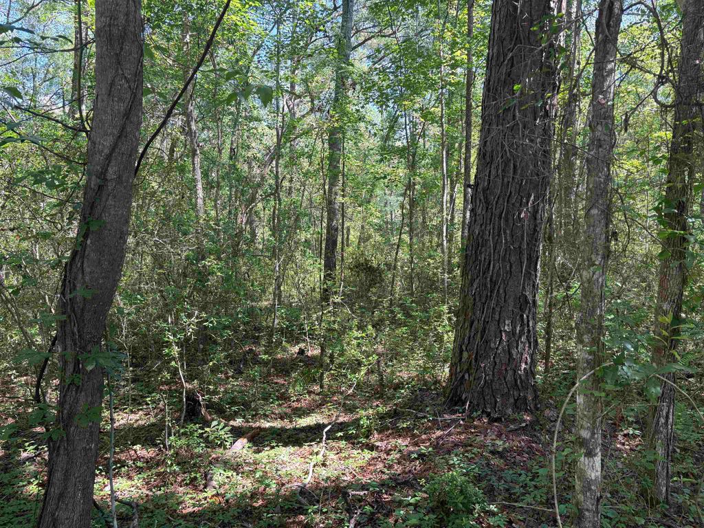 Photo of 10146 F A Ash Way, Tallahassee, FL 32311 (MLS # 400013)