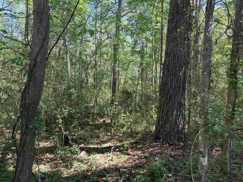 Tiny photo for 10146 F A Ash Way, Tallahassee, FL 32311 (MLS # 400013)
