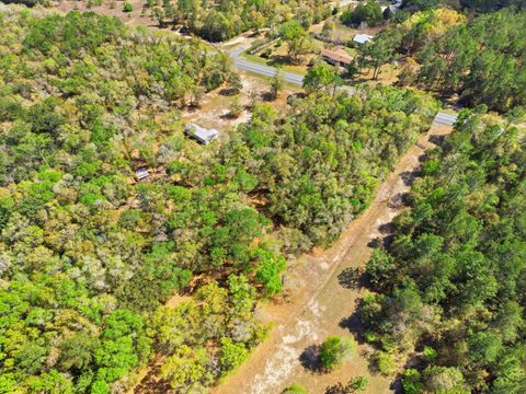 Tiny photo for 3554 Bristol Highway, Quincy, FL 32351 (MLS # 397957)