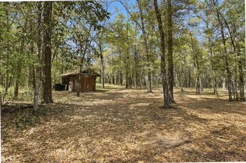 Tiny photo for 3554 Bristol Highway, Quincy, FL 32351 (MLS # 397957)