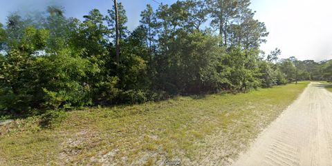 MLS: 382556