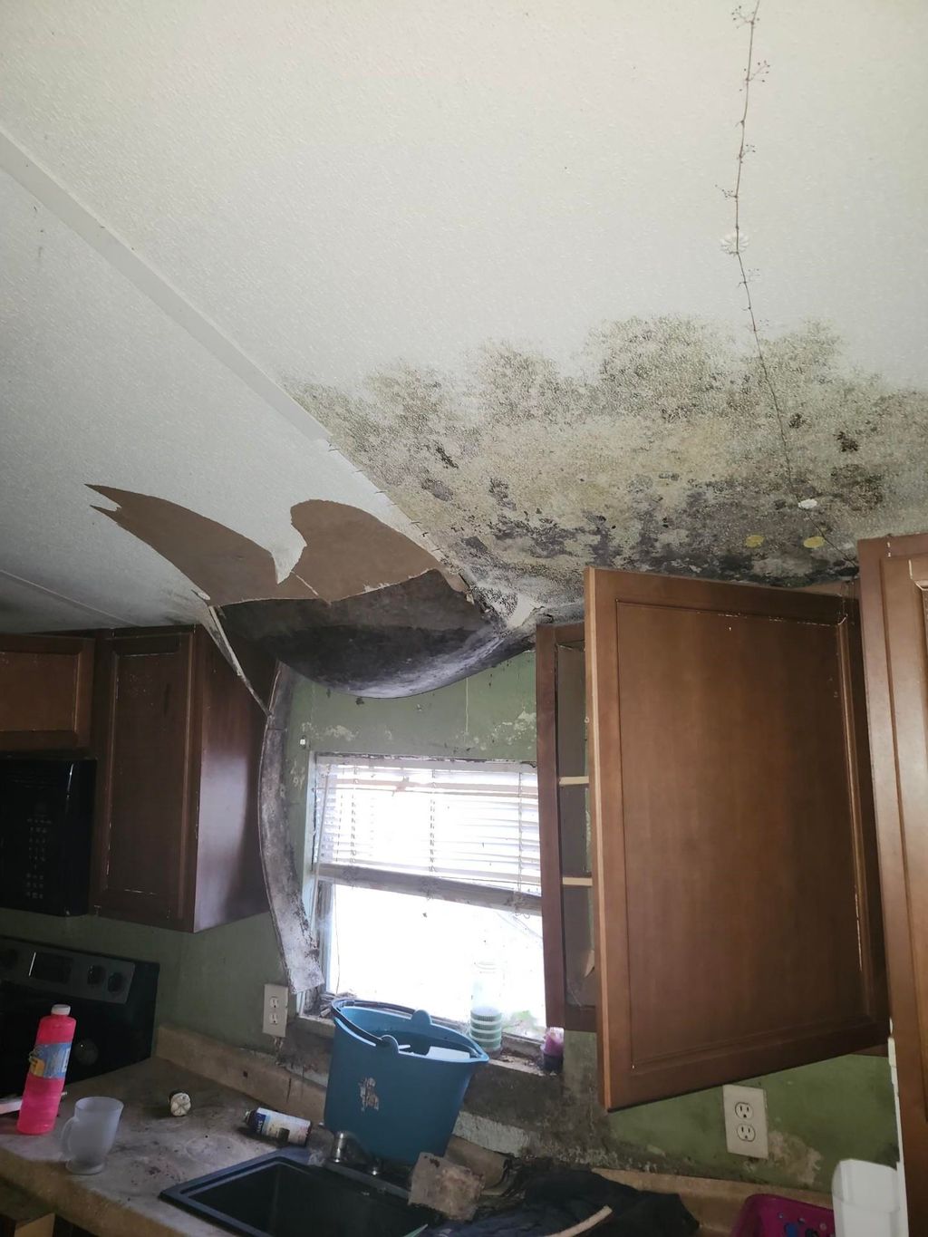 Photo of 5076 Meadowlark Lane, Tallahassee, FL 32303 (MLS # 394755)