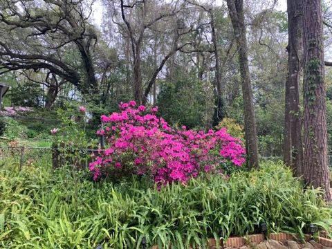 Tiny photo for 817 Alliegood Avenue, Tallahassee, FL 32303 (MLS # 398237)