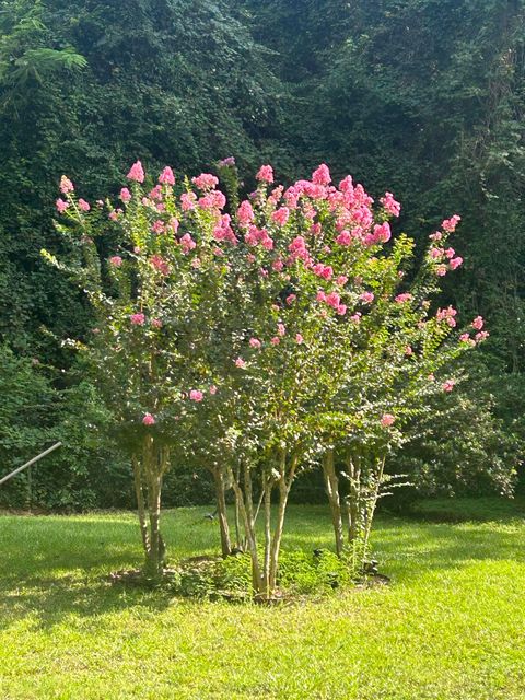 Tiny photo for 817 Alliegood Avenue, Tallahassee, FL 32303 (MLS # 398237)