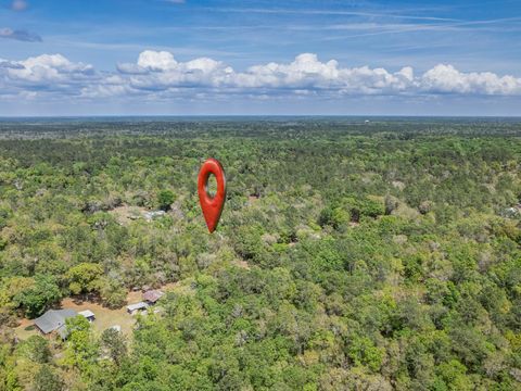 Tiny photo for 77 Carolina Court, Crawfordville, FL 32327 (MLS # 398021)