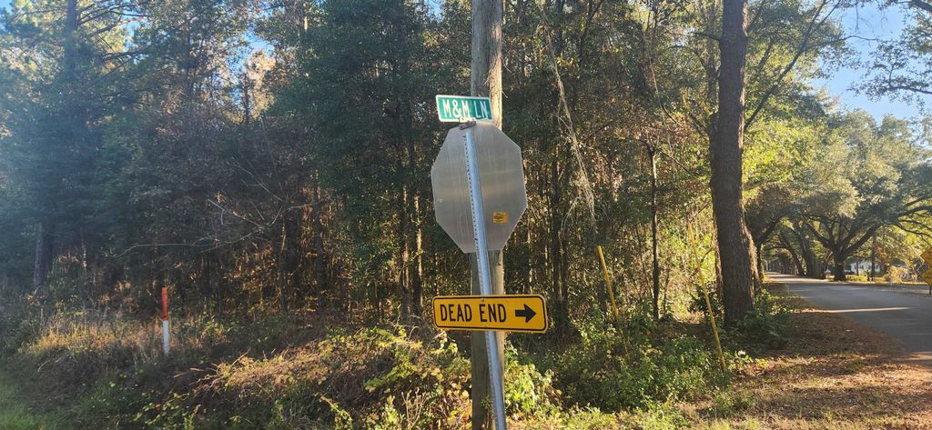 Photo of TBD HUTCHINSON FERRY Road, Quincy, FL 32352 (MLS # 393962)