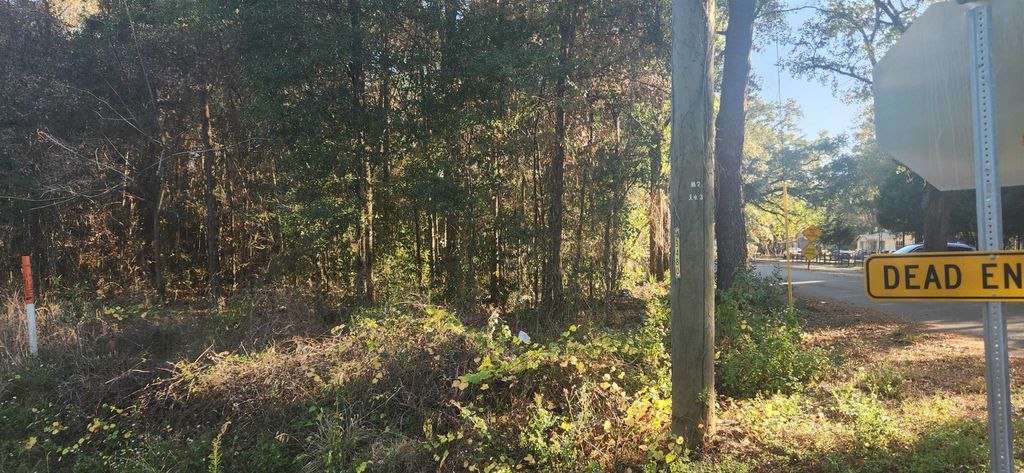 Photo of TBD HUTCHINSON FERRY Road, Quincy, FL 32352 (MLS # 393962)