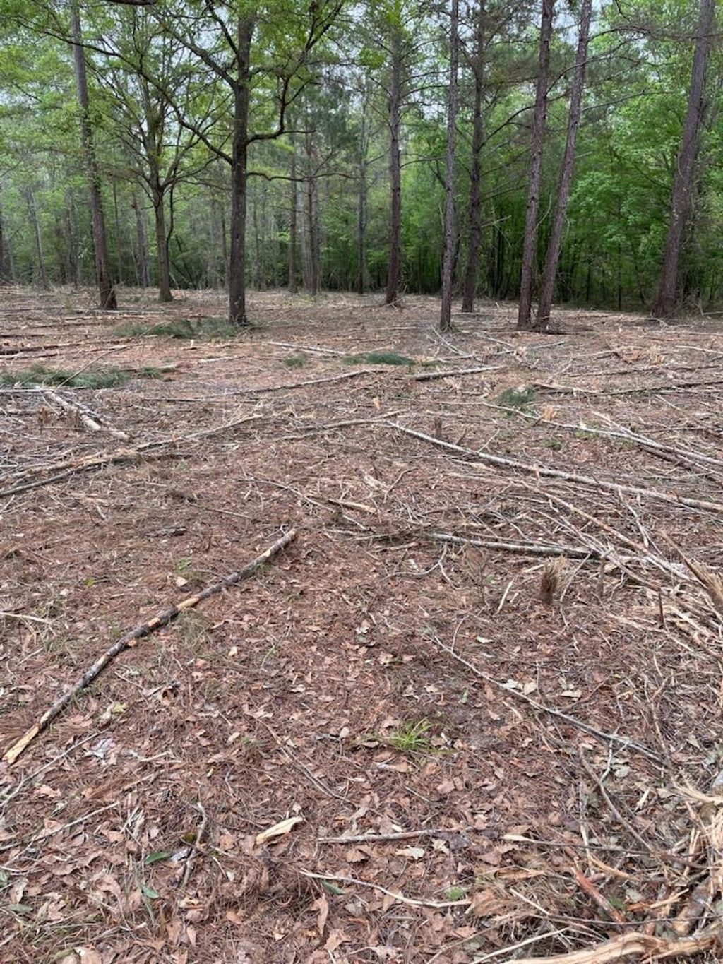 Photo of Lot 7 San Bonita Boulevard #1, Havana, FL 32333 (MLS # 379581)