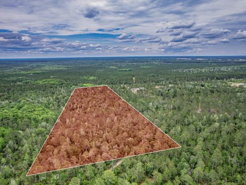 Tiny photo for Lot 5 Bloxham Cutoff Road, Crawfordville, FL 32327 (MLS # 399462)