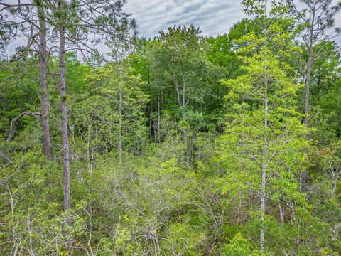 Tiny photo for Lot 5 Bloxham Cutoff Road, Crawfordville, FL 32327 (MLS # 399462)