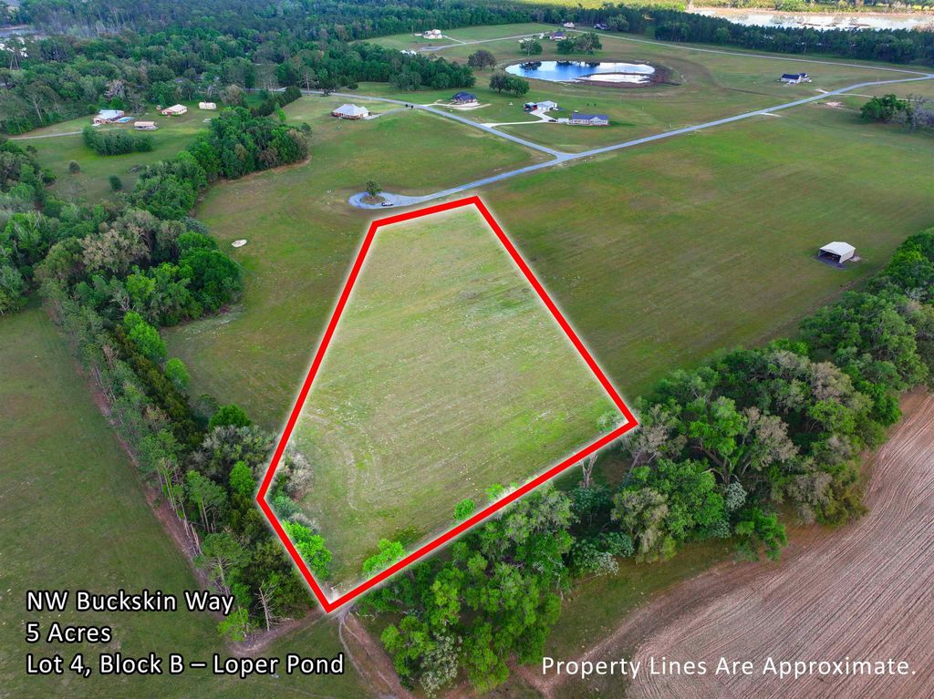 Photo of Vacant NW Buckskin Way, Madison, FL 32340 (MLS # 398252)