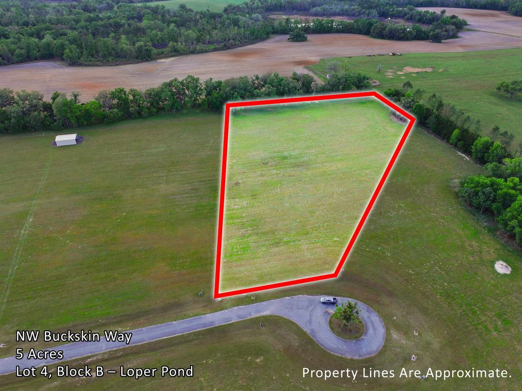 Photo of Vacant NW Buckskin Way, Madison, FL 32340 (MLS # 398252)