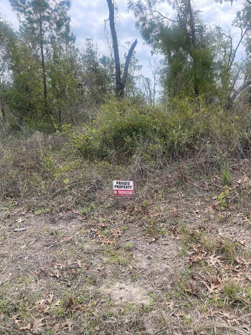 Photo of 0 E Royal Oak Drive, Keaton Beach, FL 32348 (MLS # 399525)