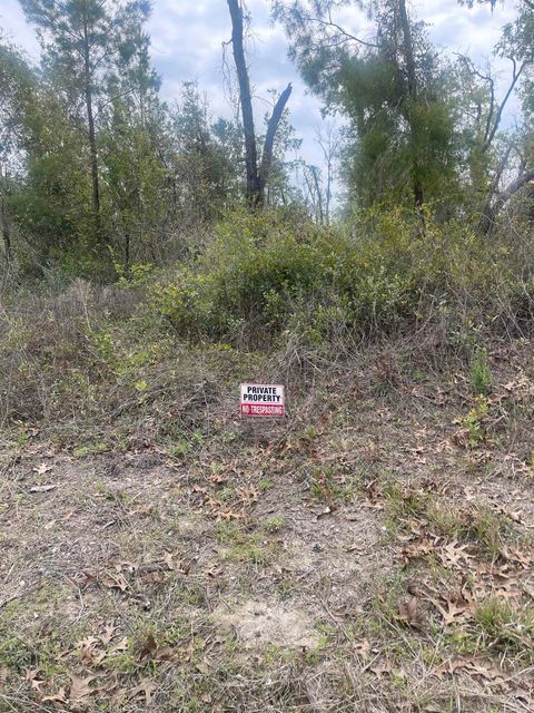 Tiny photo for 0 E Royal Oak Drive, Keaton Beach, FL 32348 (MLS # 399525)