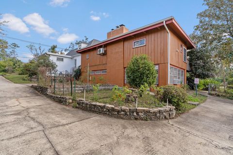 Tiny photo for 1614 S Meridian Street, Tallahassee, FL 32301 (MLS # 396437)