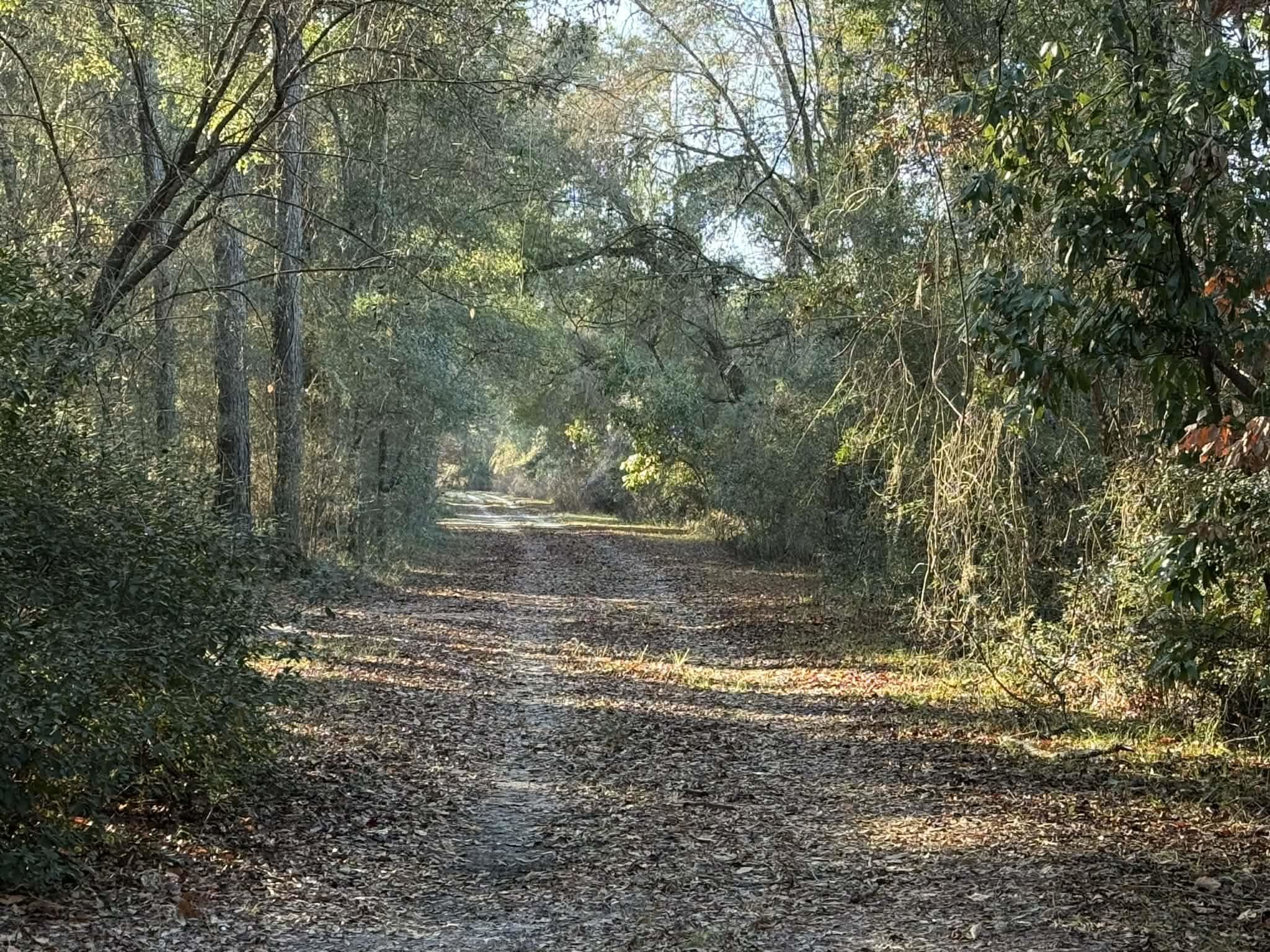 81 Benny Rogers Road